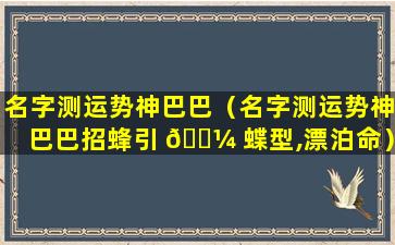 名字测运势神巴巴（名字测运势神巴巴招蜂引 🌼 蝶型,漂泊命）